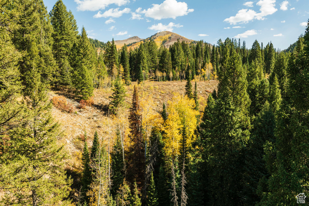 View of mountain background featuring a forest