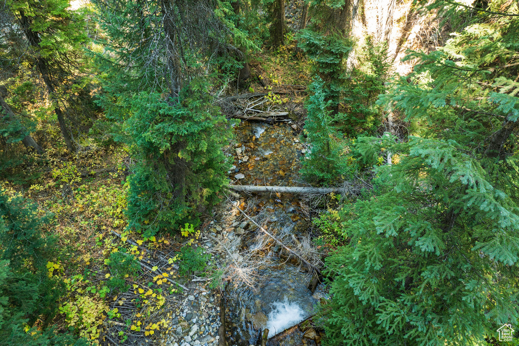View of nature
