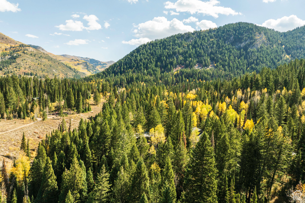 Mountain view featuring a forest