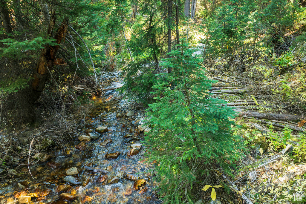 View of wooded area