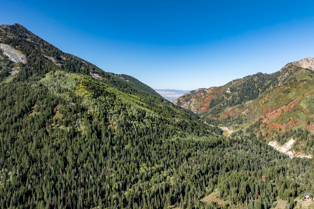 View of mountain backdrop featuring a heavily wooded area