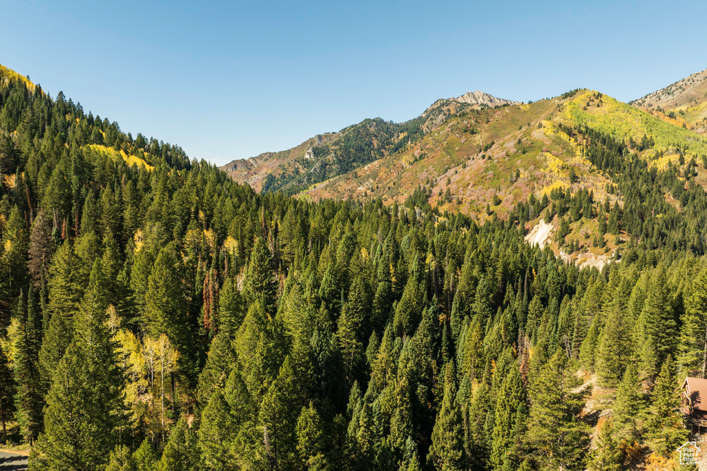 View of mountain background featuring a heavily wooded area