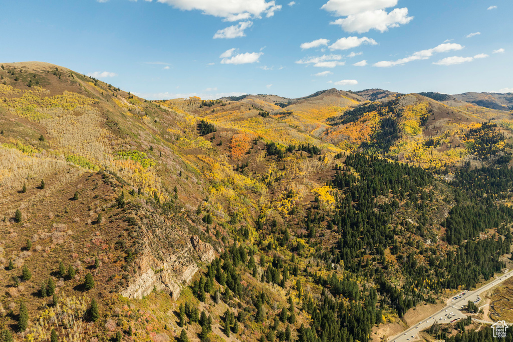 View of mountain backdrop featuring a forest