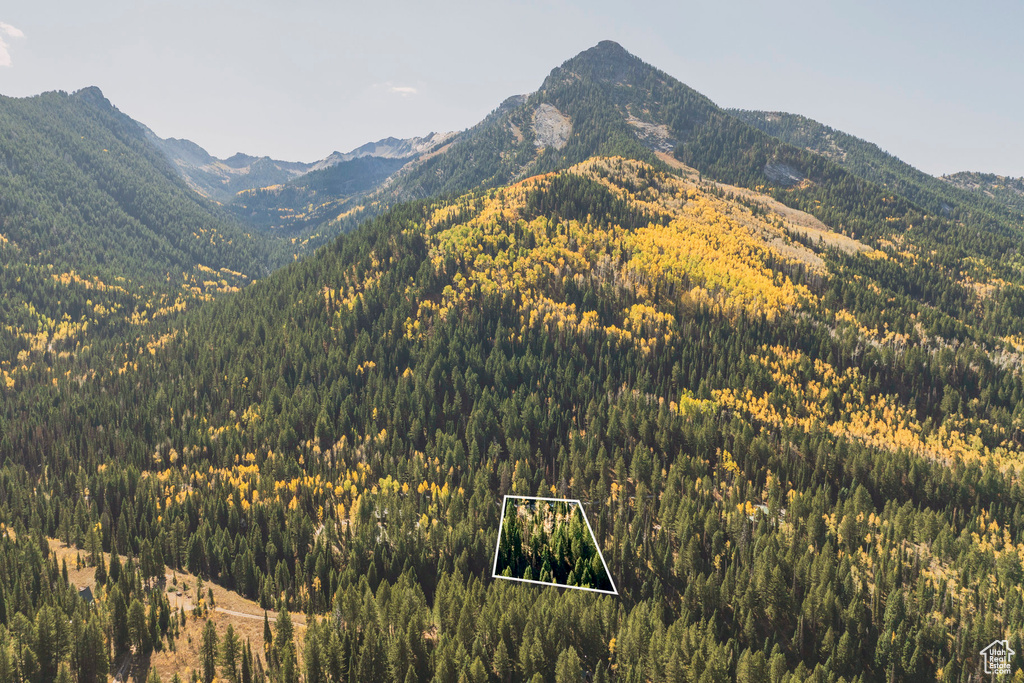 View of mountain background featuring a heavily wooded area