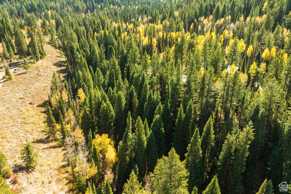 Drone / aerial view of a heavily wooded area