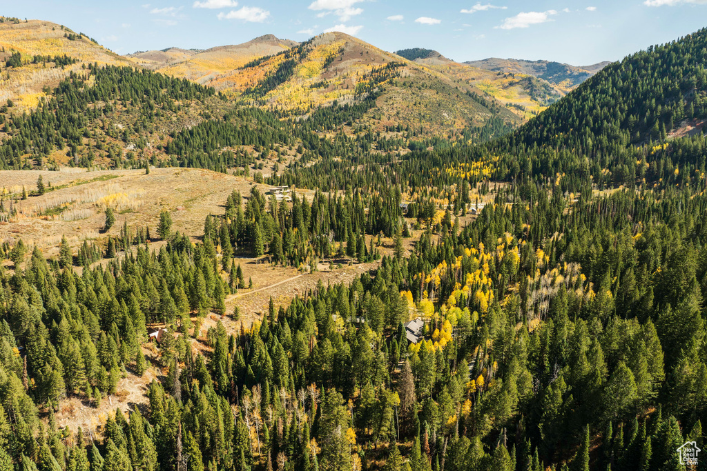 Mountain view featuring a heavily wooded area