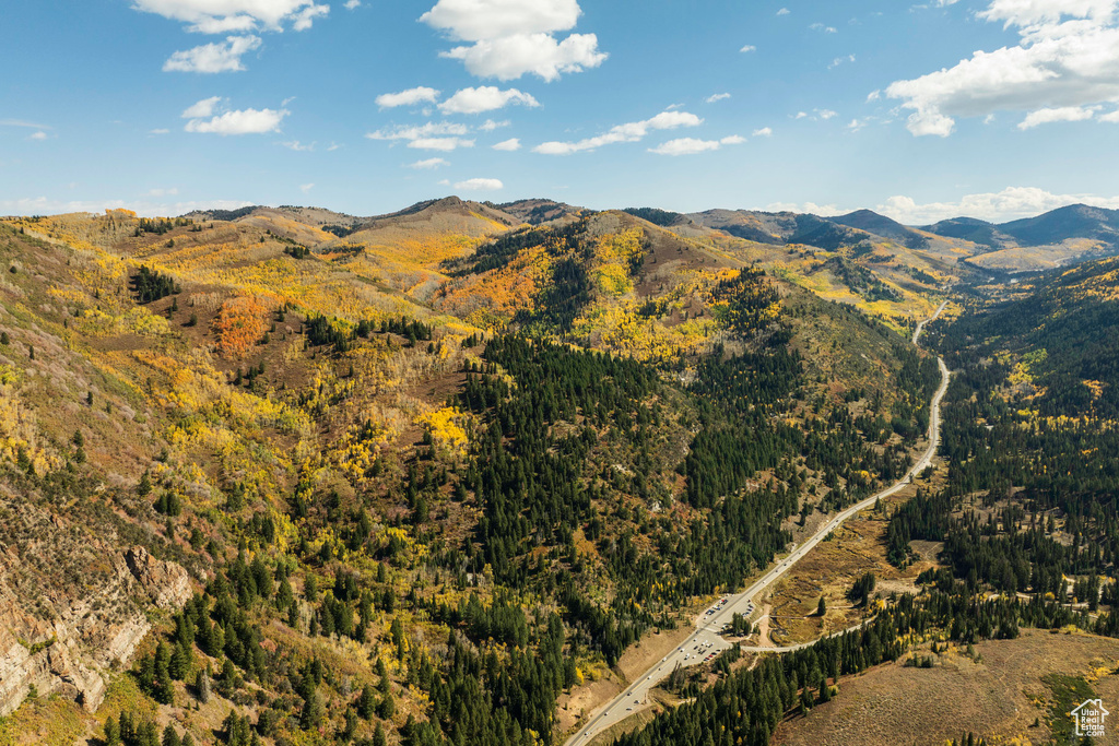 Mountain view featuring a forest