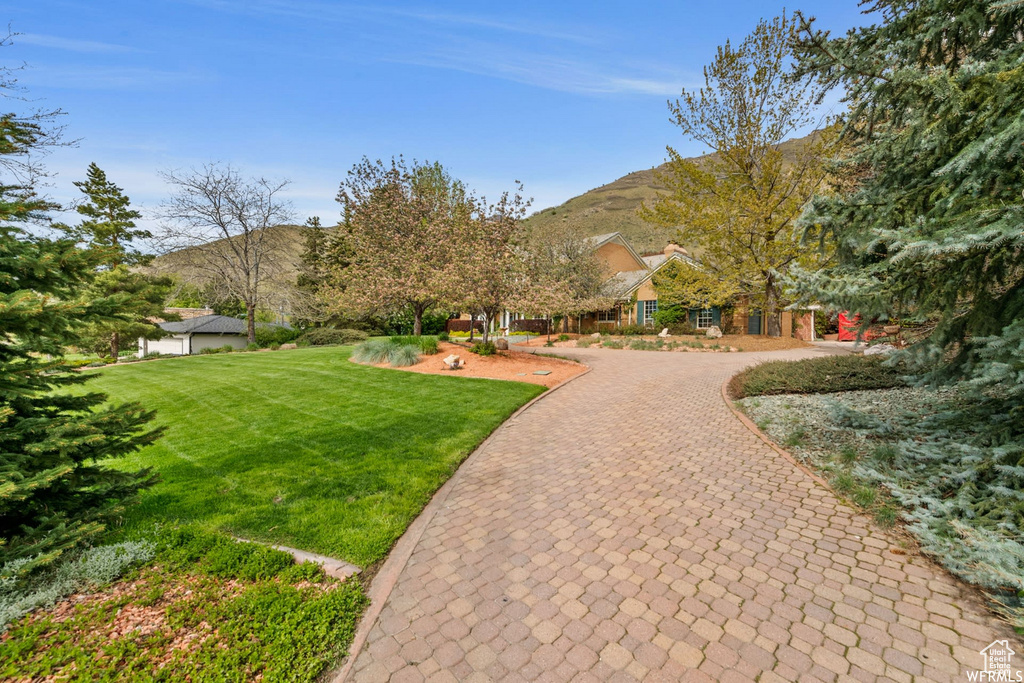 View of community featuring a lawn and a mountain view