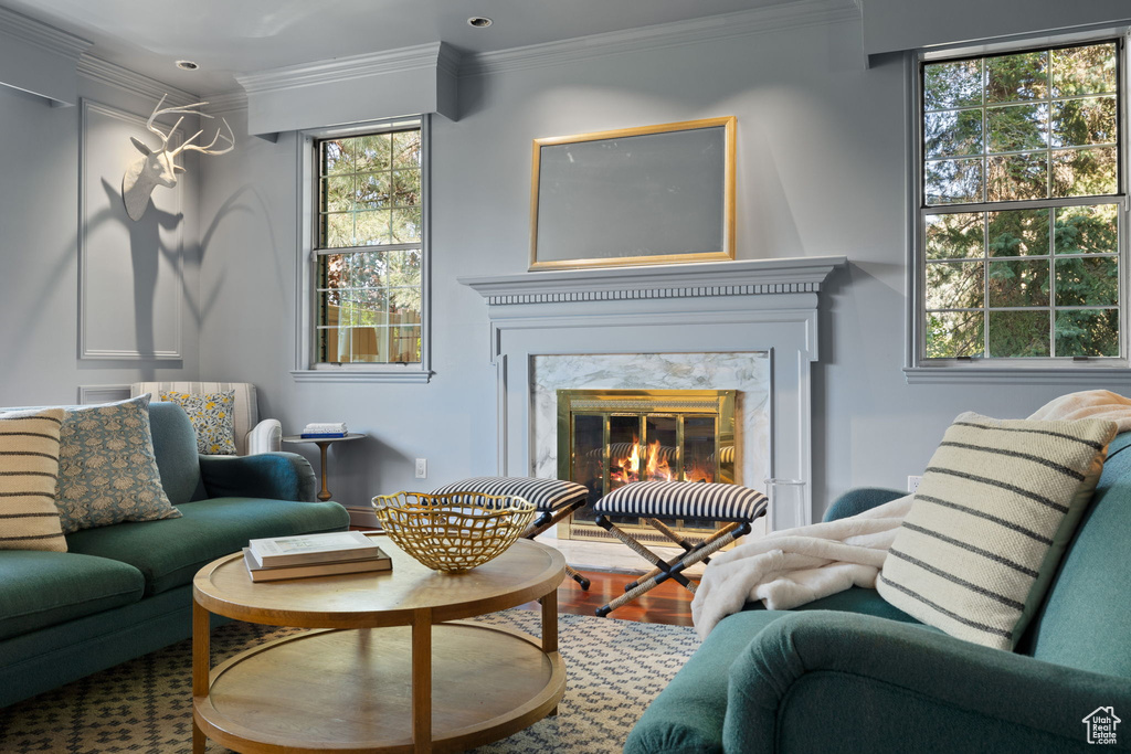 Living room featuring hardwood / wood-style flooring, a premium fireplace, crown molding, and a wealth of natural light