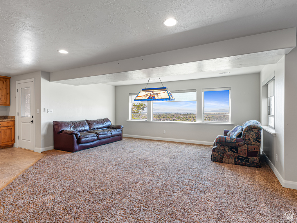 Living area with a textured ceiling, light carpet, baseboards, and recessed lighting