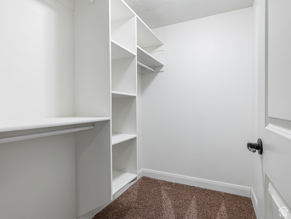 Walk in closet featuring carpet