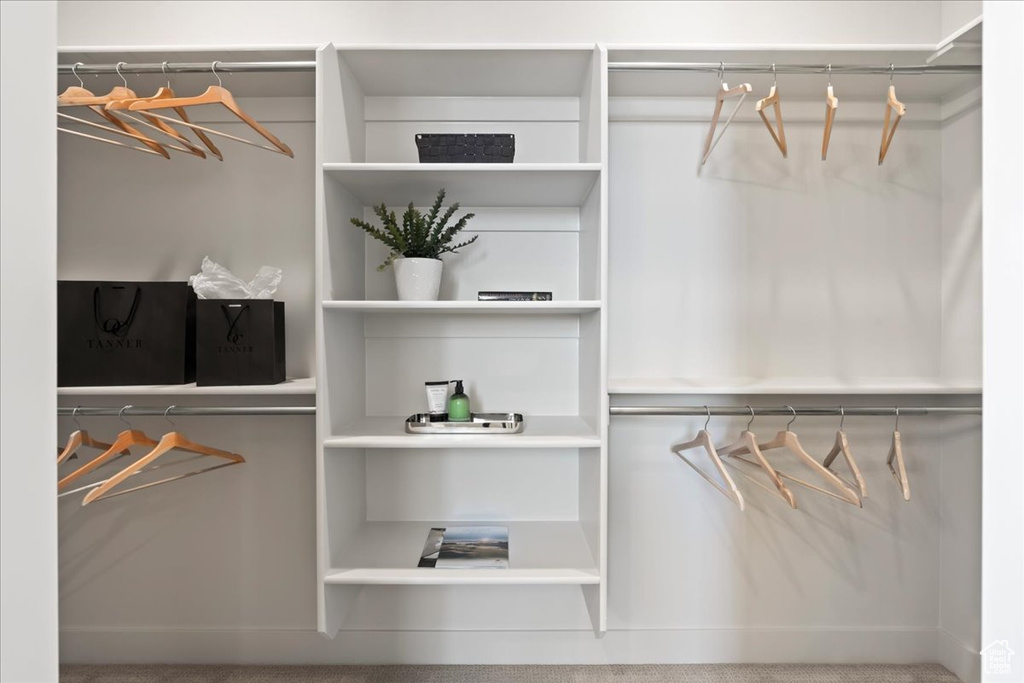 Walk in closet featuring carpet floors