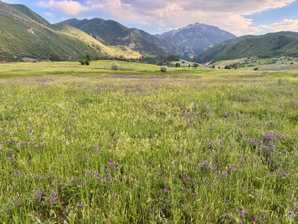 View of mountain background with rural landscape