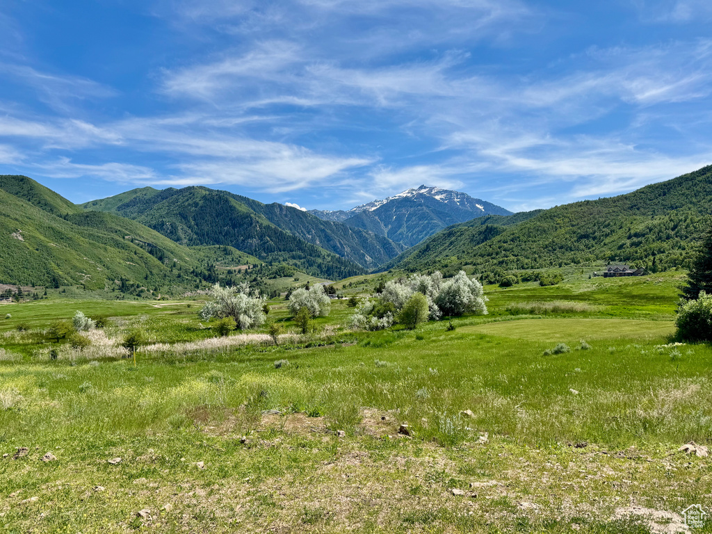 Mountain view with rural landscape