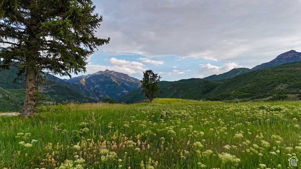 View of mountain background