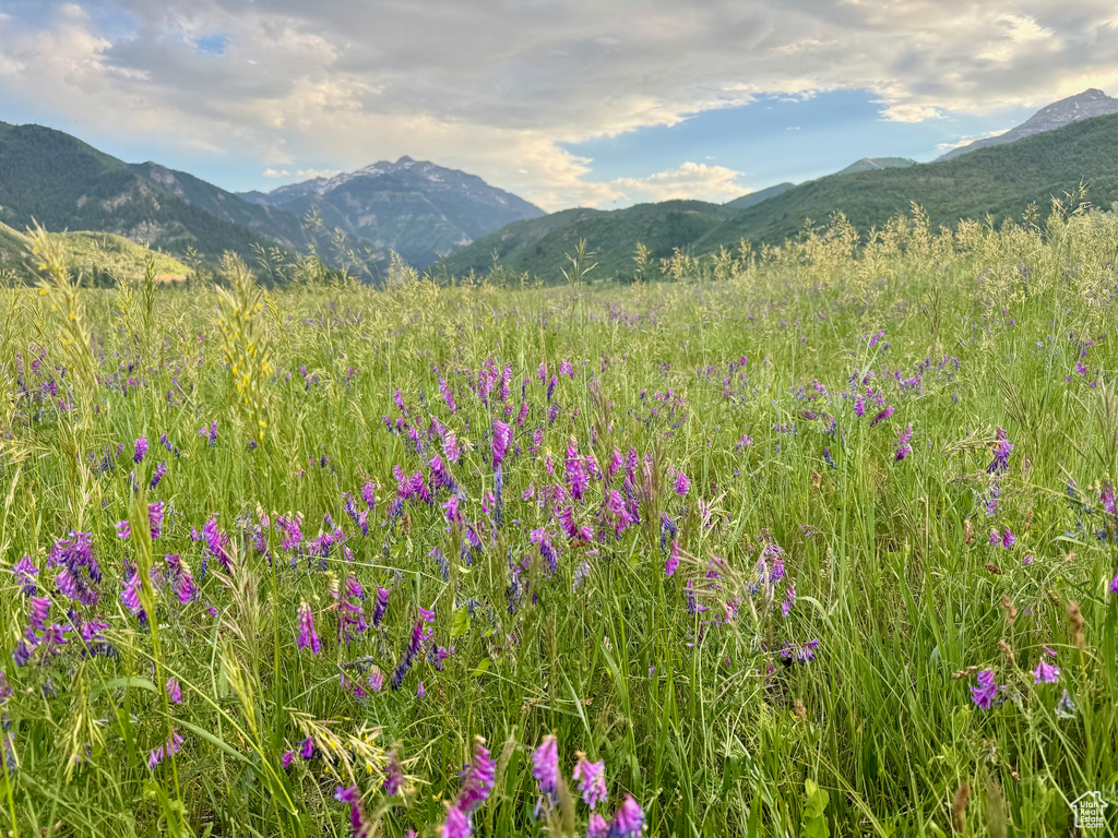View of mountain backdrop