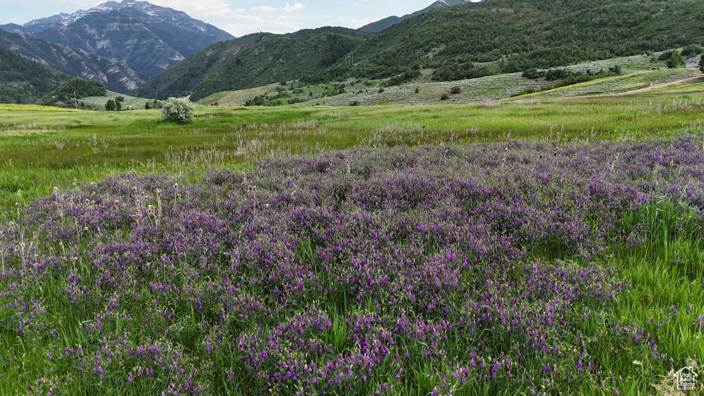 View of mountain background