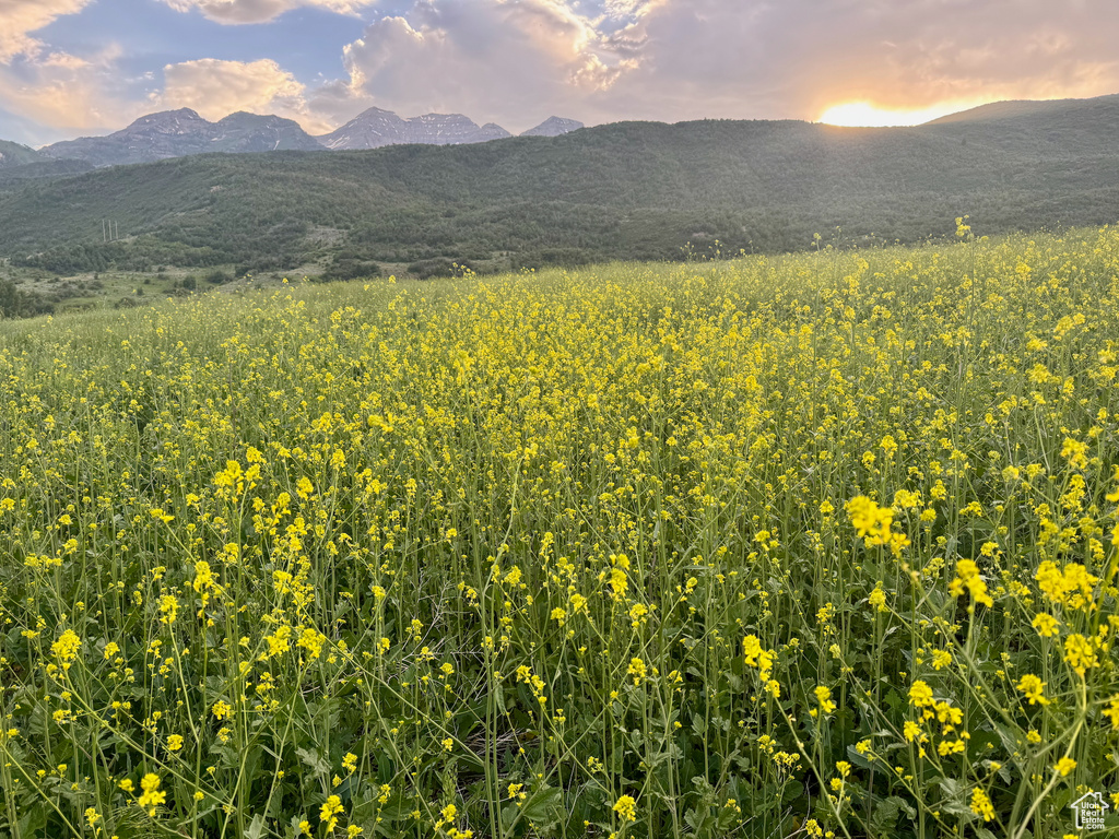 View of mountain backdrop