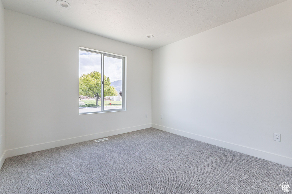 Unfurnished room featuring carpet floors and a textured ceiling