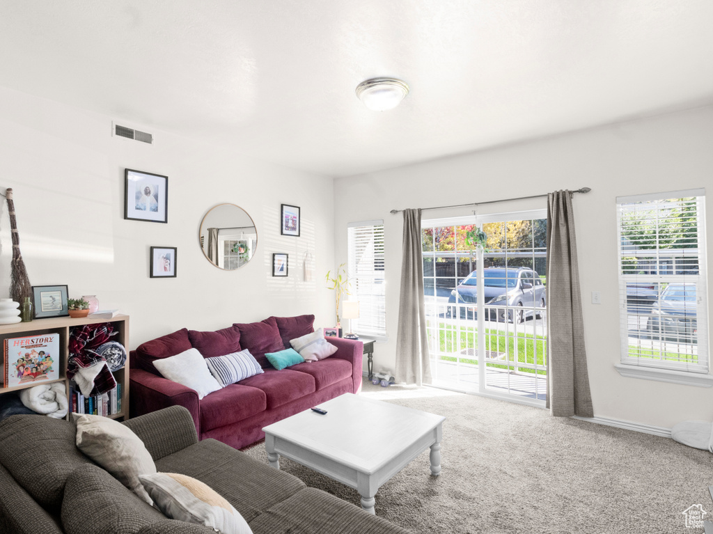 Living room with carpet