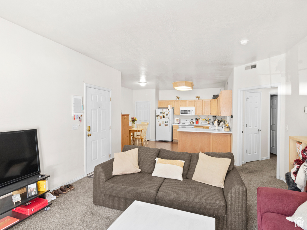 Living room with light colored carpet