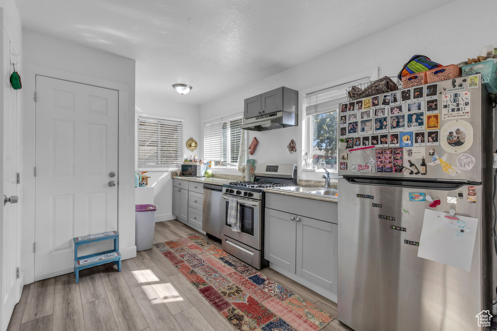 Kitchen featuring light hardwood / wood-style floors, a textured ceiling, sink, gray cabinetry, and stainless steel appliances