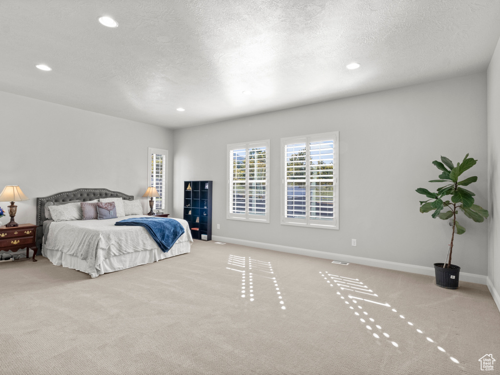 Carpeted bedroom with a textured ceiling