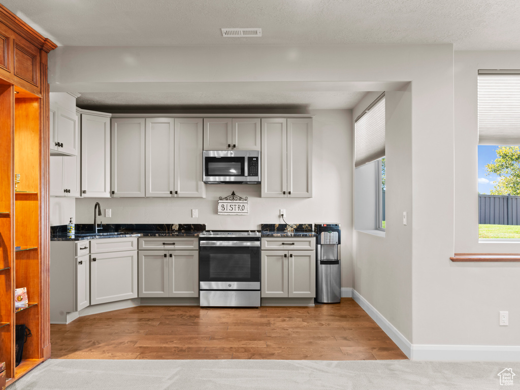 Kitchen with stainless steel appliances, light hardwood / wood-style floors, plenty of natural light, and sink