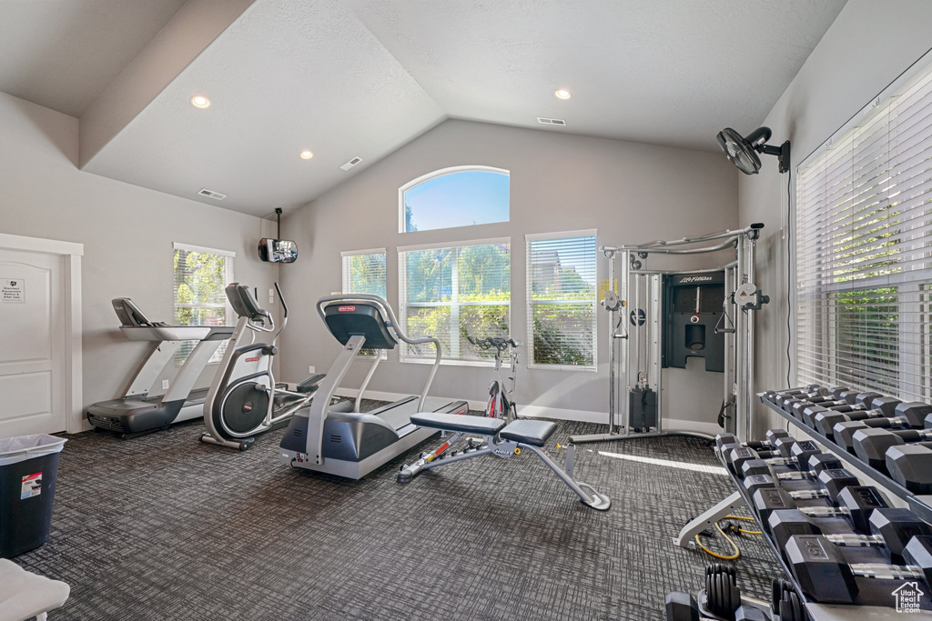 Exercise area featuring carpet, high vaulted ceiling, and plenty of natural light