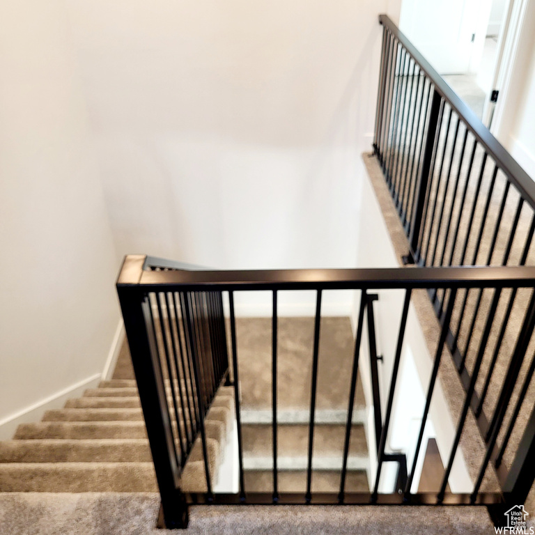 Staircase featuring carpet