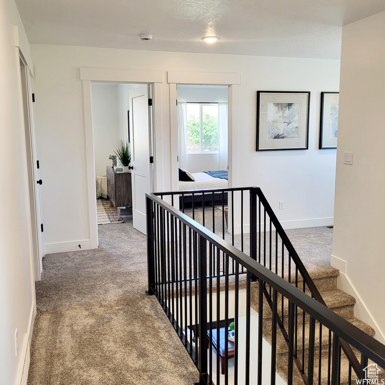 Corridor featuring carpet floors and a textured ceiling