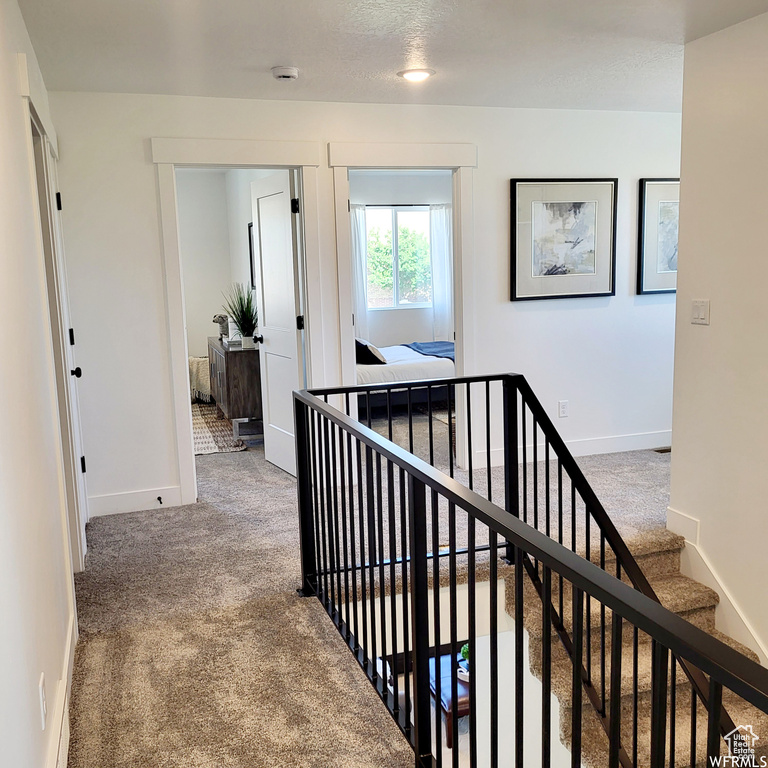 Hallway with carpet flooring