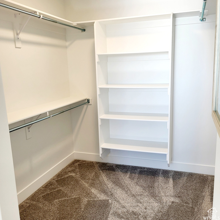 Walk in closet featuring carpet