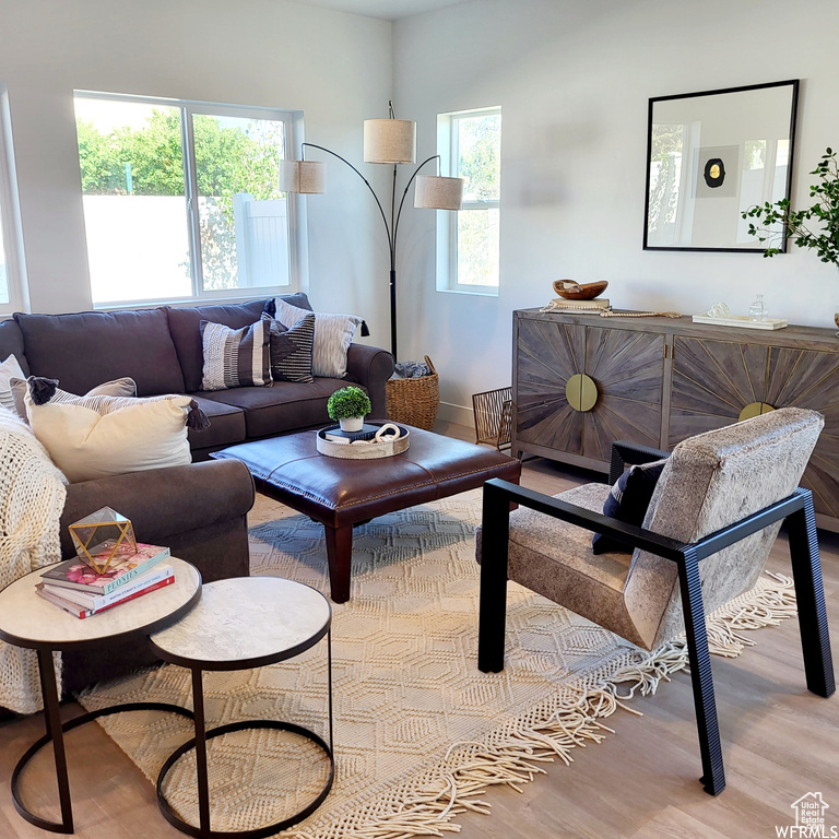 Living room featuring light hardwood / wood-style floors