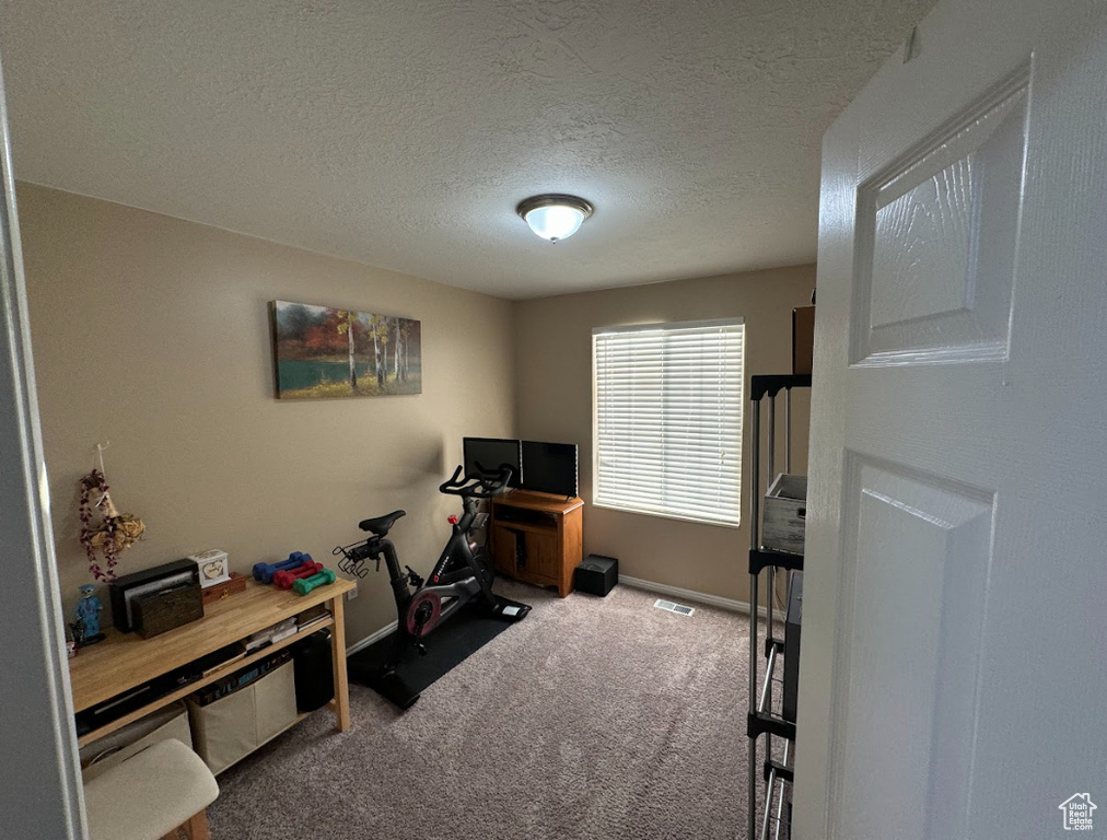 Office area with carpet floors and a textured ceiling