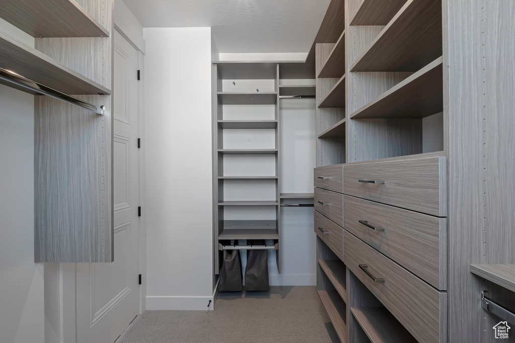 Walk in closet with carpet flooring