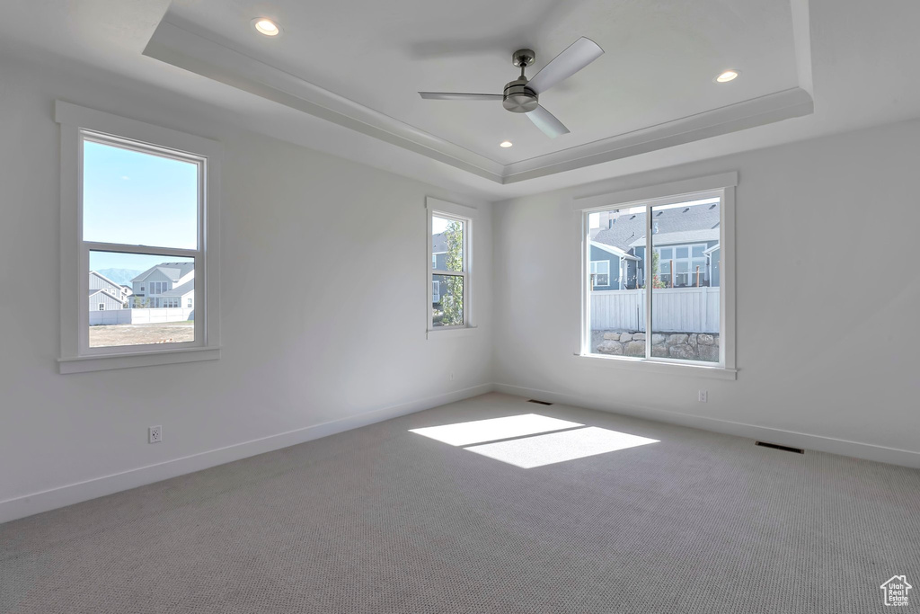 Unfurnished room with carpet, a raised ceiling, and plenty of natural light