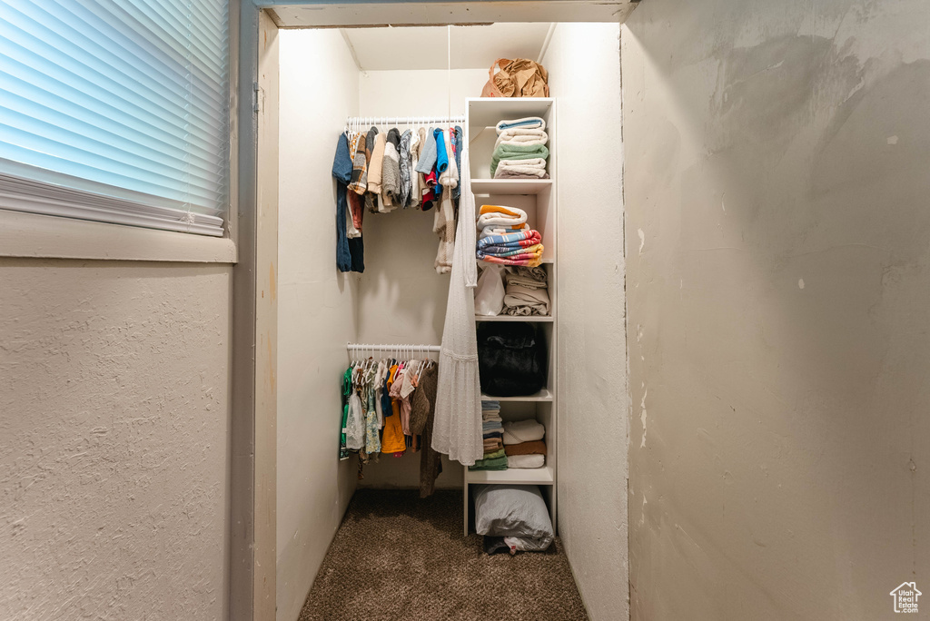 Spacious closet with carpet floors