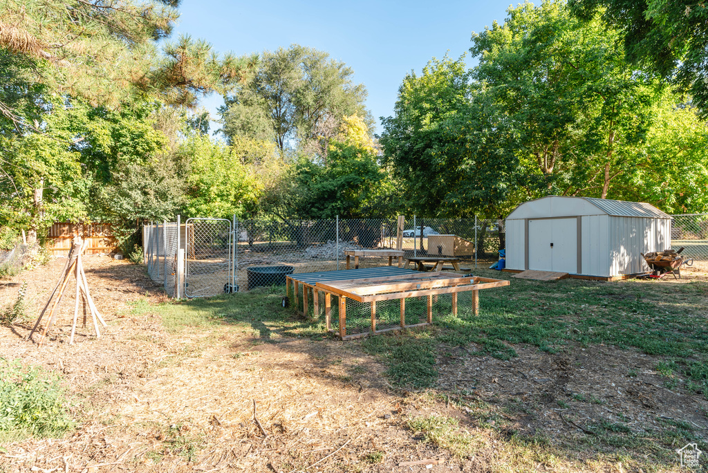 View of yard with a shed