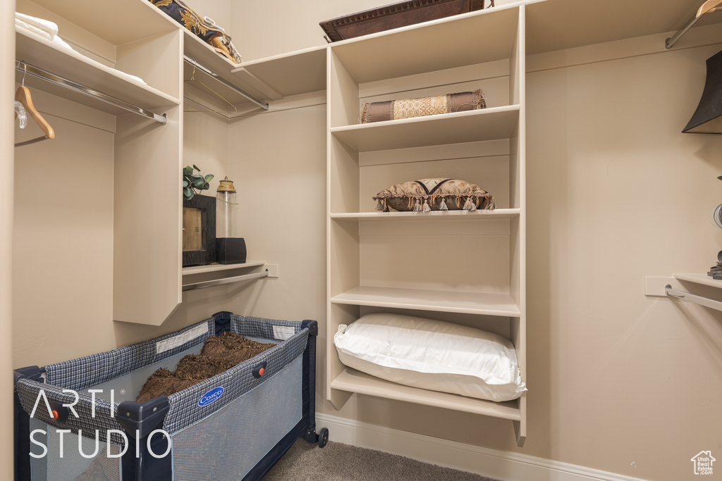 Walk in closet with carpet floors