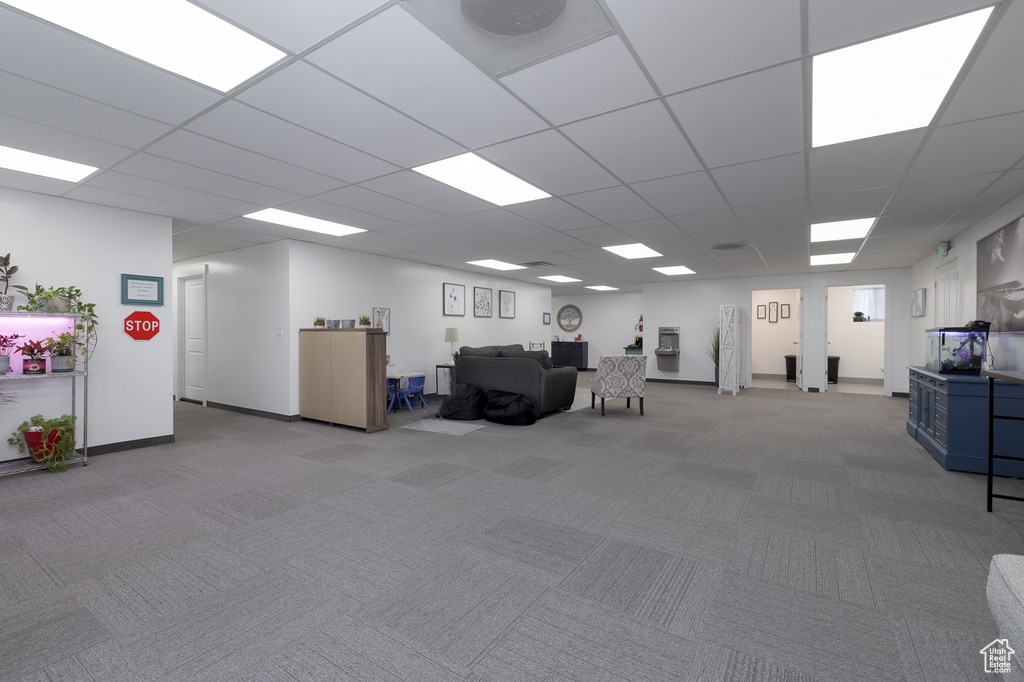 Interior space with a drop ceiling and carpet