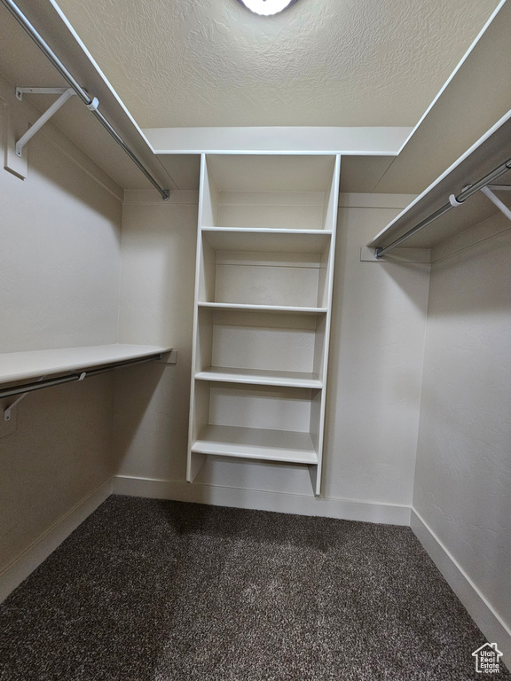 Walk in closet with dark carpet