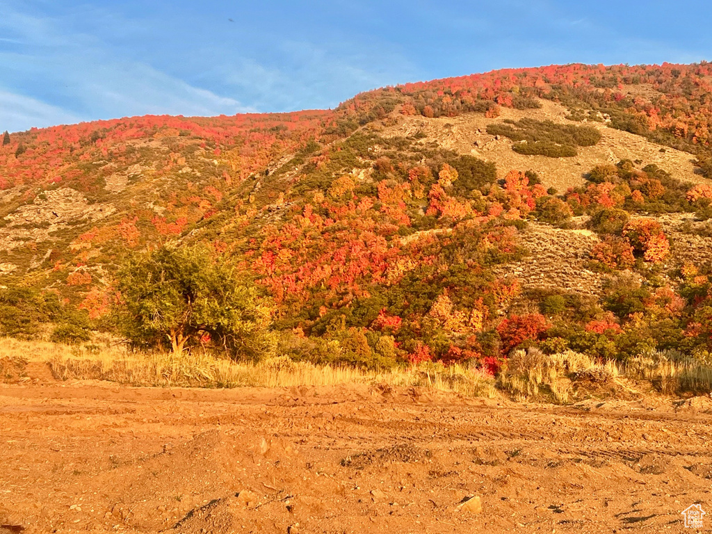 Property view of mountains