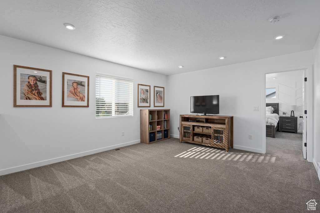 Living room featuring carpet floors and a textured ceiling