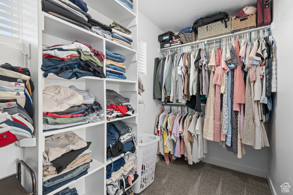 Walk in closet with dark carpet