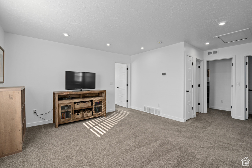 Living room featuring carpet and a textured ceiling