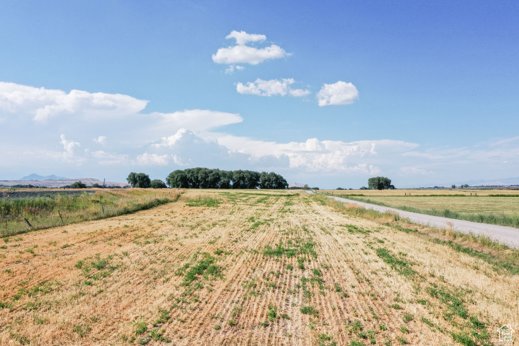 View of yard with a rural view