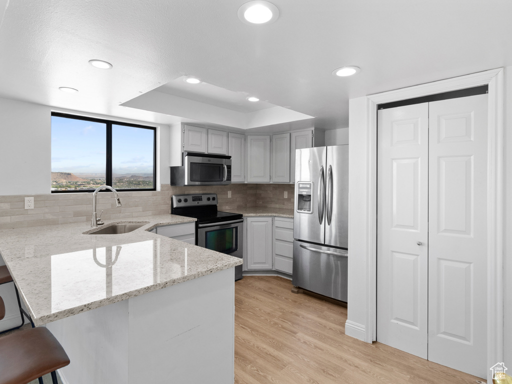 Kitchen featuring sink, kitchen peninsula, light hardwood / wood-style flooring, stainless steel appliances, and light stone countertops