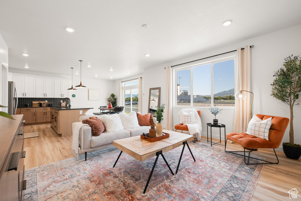 Living room featuring sink and light hardwood / wood-style flooring