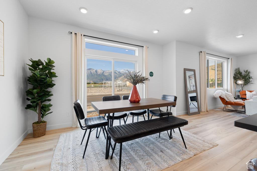 Dining area with light hardwood / wood-style flooring